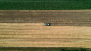 Bauernverband: Interesse der Landwirte am &Ouml;kolandbau erreicht neuen H&ouml;chstwert