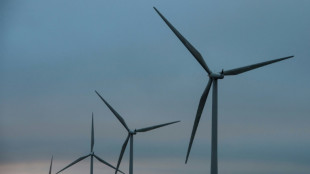 El a&ntilde;o 2021 fue decepcionante para las energ&iacute;as renovables