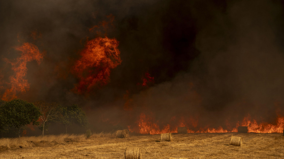 Salgono a 37 gli arrestati per i roghi che sferzano la Spagna