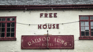 Villagers win race to save UK pub, as thousands close