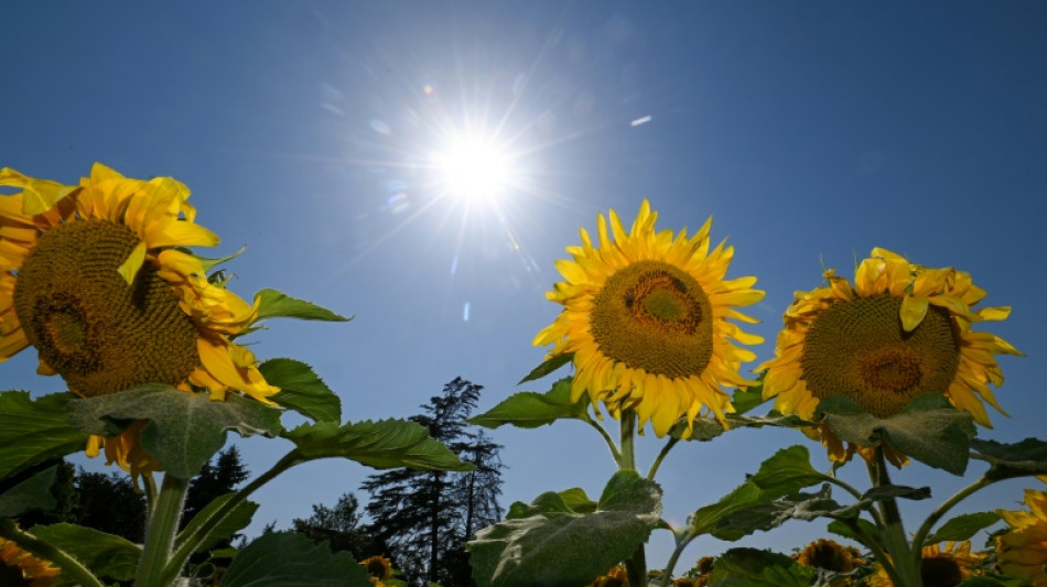 Sommer in Deutschland: Nasser Juli zwischen Hitzewellen milderte Trockenheit