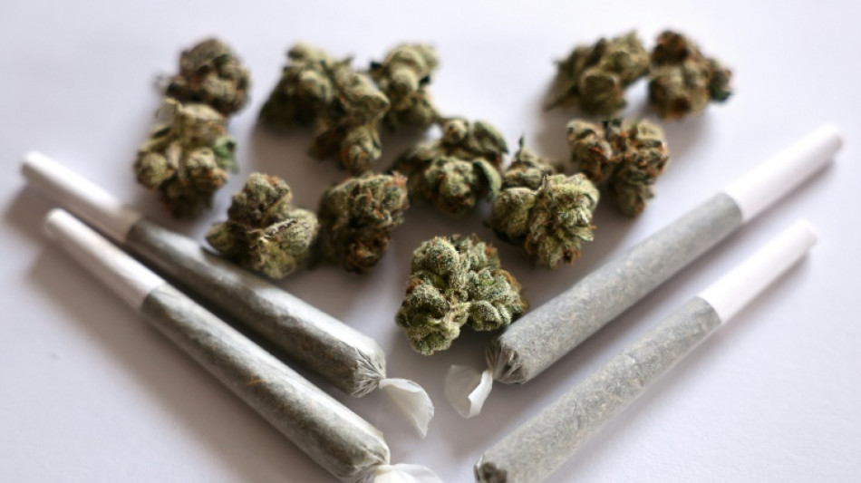 Drogenbeauftragter Streeck fordert R&uuml;ckkehr zu strengeren Cannabis-Regeln