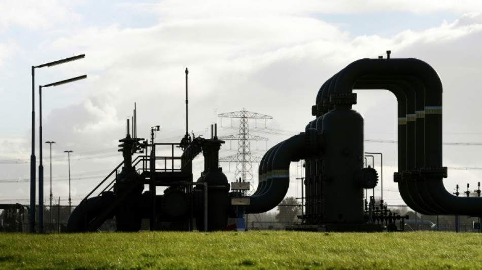 La AIE anticipa una reducci&oacute;n de la demanda europea de gas para este a&ntilde;o