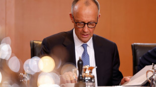 Merz kritisiert USA f&uuml;r "absurdes" Deutschlandbild - Telefonat mit Trump geplant