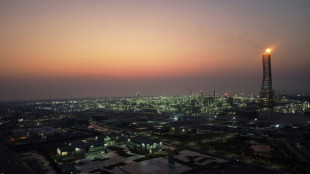 La AIE rebaja su previsi&oacute;n de crecimiento de la demanda mundial de petr&oacute;leo