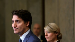 Partido Liberal de Canad&aacute; vota para sustituir a Trudeau como primer ministro