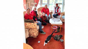 Das Waisenhaus der Katzen in Niedersachsen